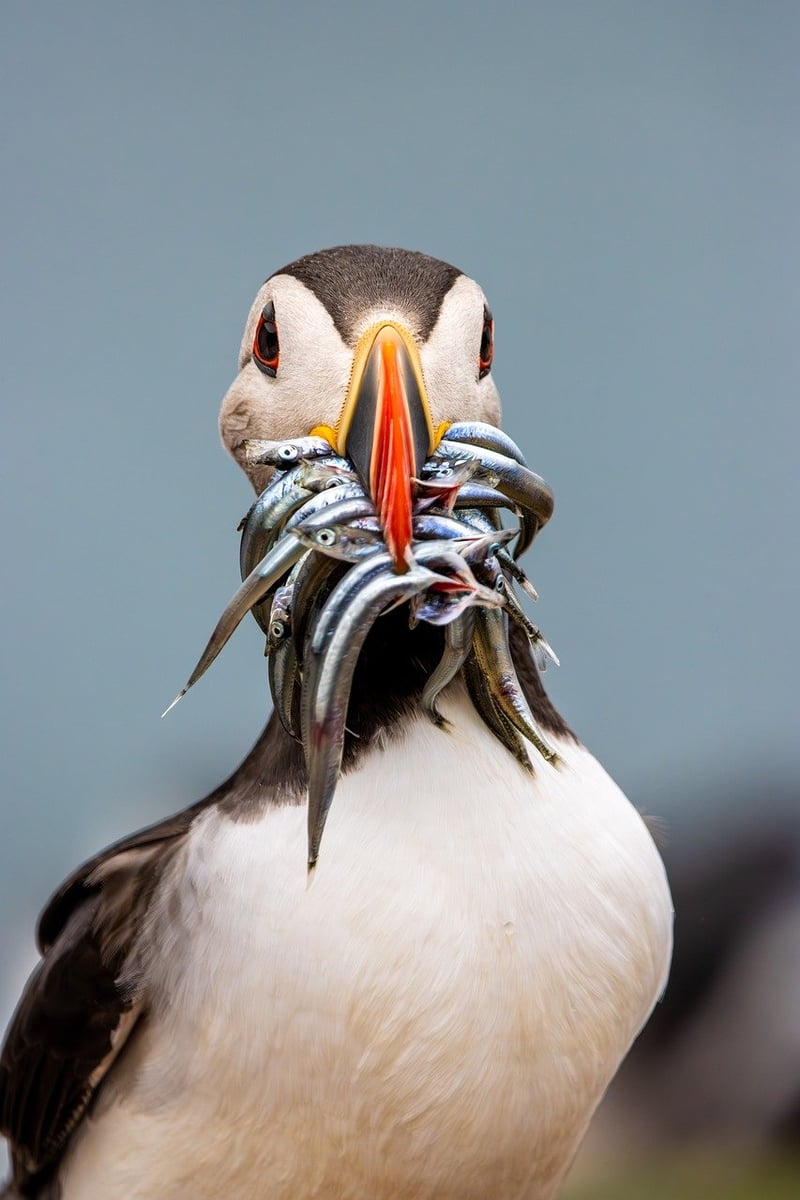 Realistic Simulation